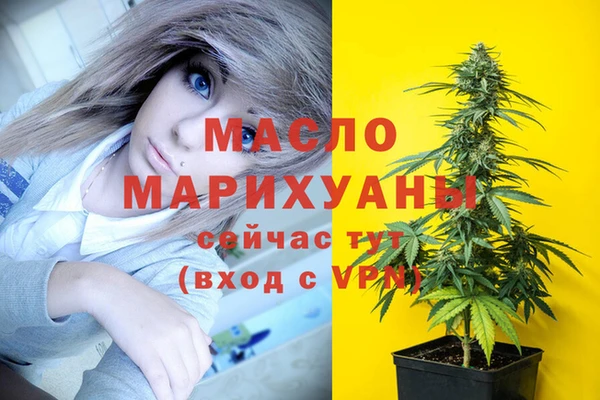 индика Баксан