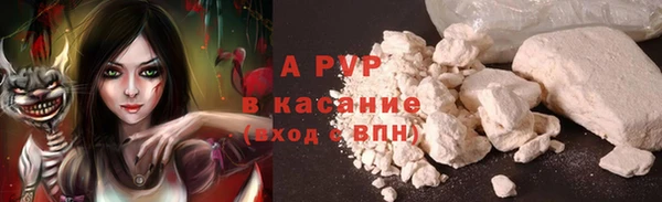 индика Баксан