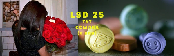 индика Баксан