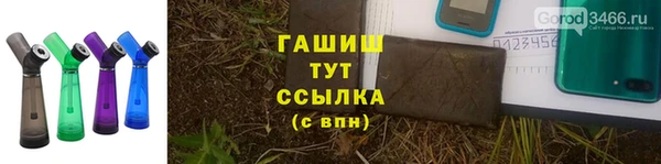 индика Баксан