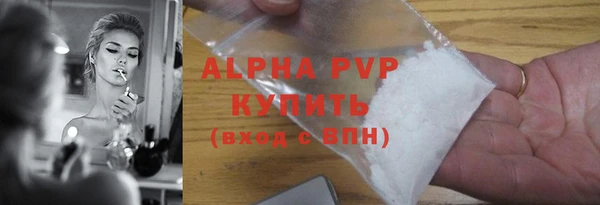 индика Баксан