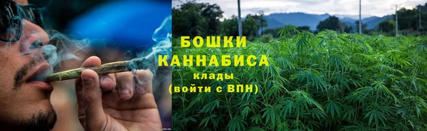 индика Баксан