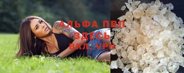 индика Баксан