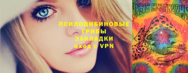 индика Баксан