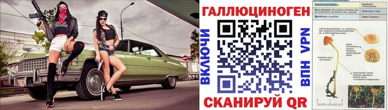 как найти закладки  Сусуман  Галлюциногенные грибы Cubensis 